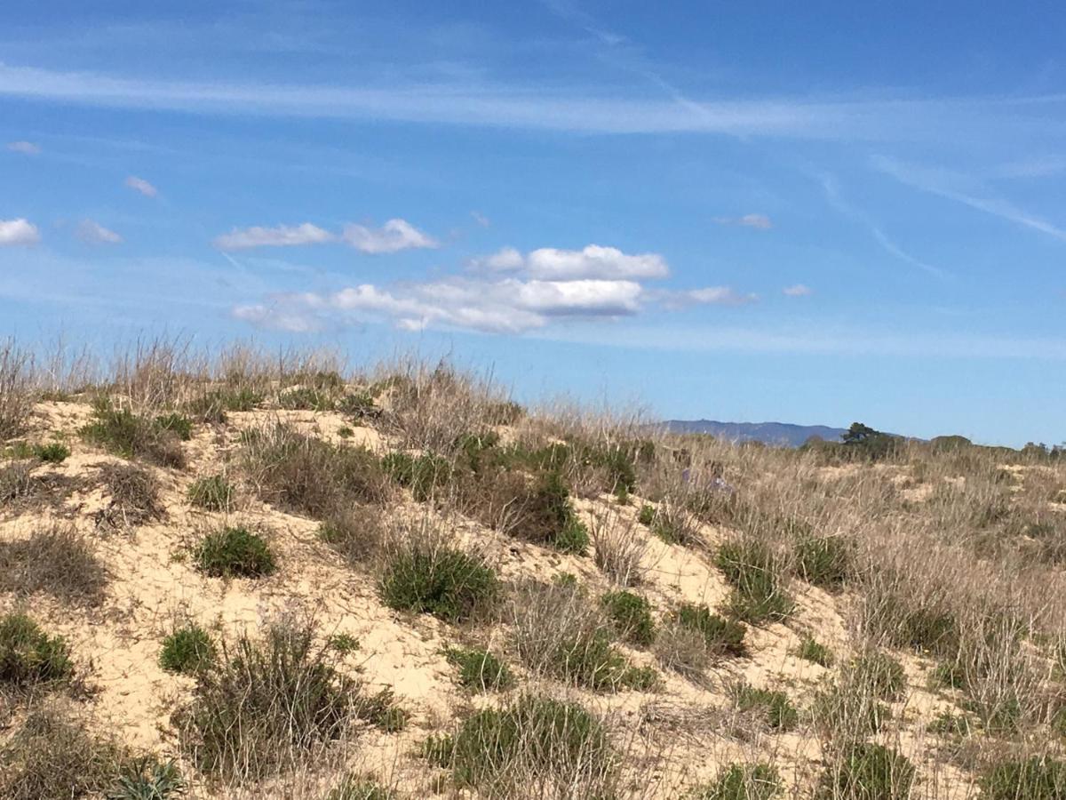 Vila Marachique Alvor Dış mekan fotoğraf
